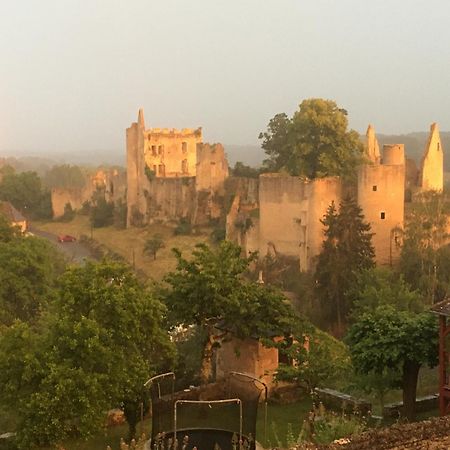 Chez Fred Avec Vue Sur Le Chateau Angles-sur-l'Anglin Exterior photo
