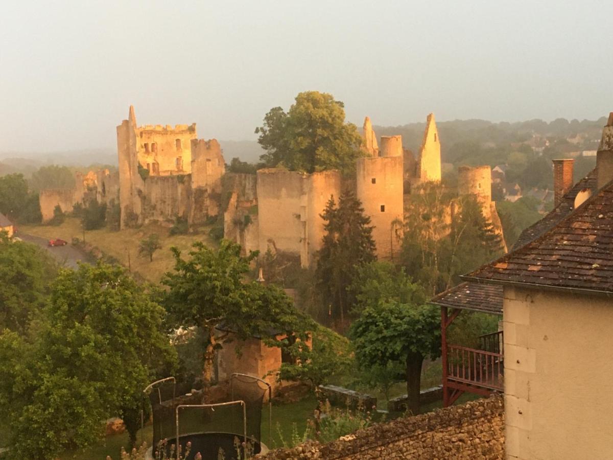 Chez Fred Avec Vue Sur Le Chateau Angles-sur-l'Anglin Exterior photo