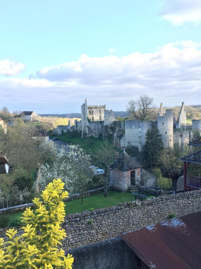 Chez Fred Avec Vue Sur Le Chateau Angles-sur-l'Anglin Exterior photo